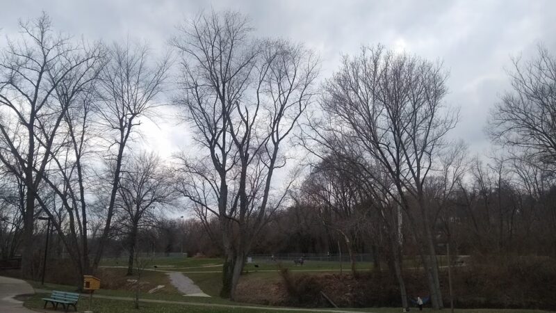 Miner Park - Glen Carbon, IL