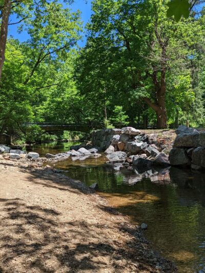 Park - Glen Gardner, NJ