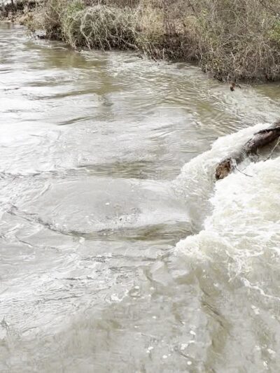 Bonner Park - Glen Mills, PA