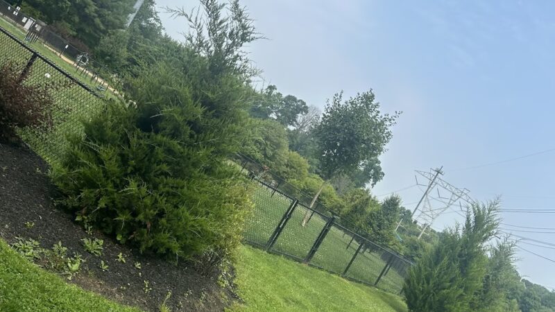 Concord Township Walking Trail - Glen Mills, PA