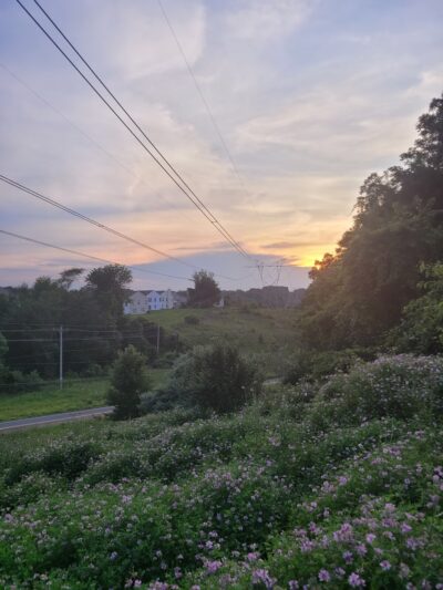 Concord Township Walking Trail - Glen Mills, PA