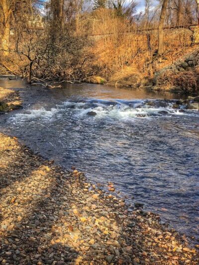 Martin Park - Glen Mills, PA