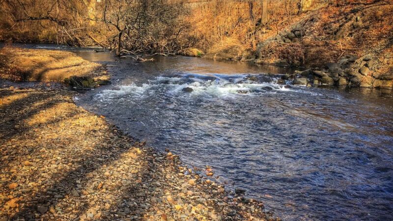 Martin Park - Glen Mills, PA