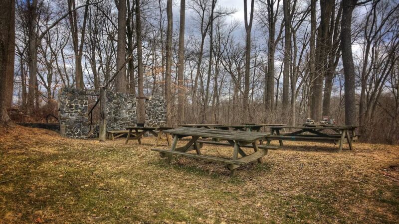 Martin Park - Glen Mills, PA