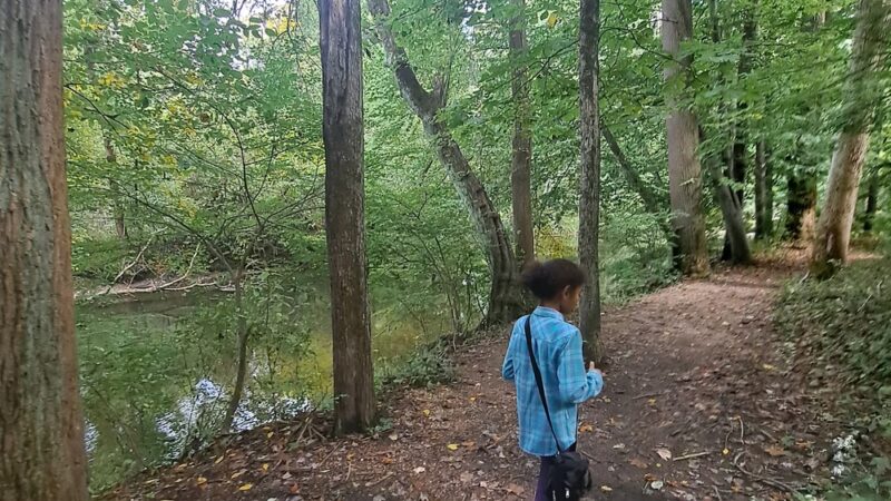 Martin Park - Glen Mills, PA