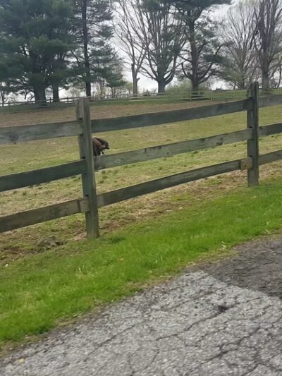 Ridley Creek State Park Entrance - Glen Mills, PA