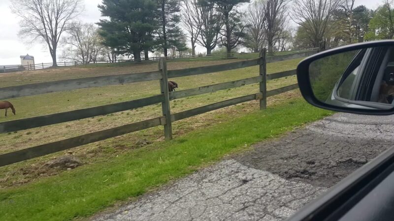 Ridley Creek State Park Entrance - Glen Mills, PA
