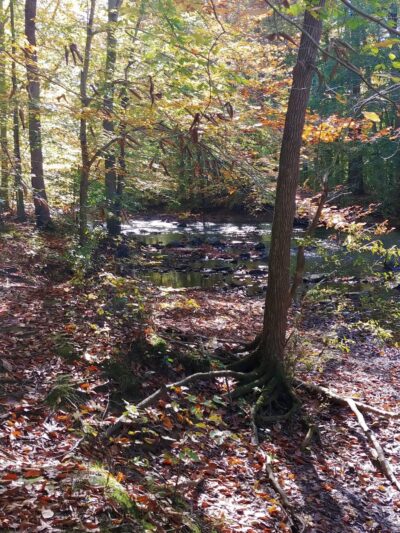 Ridley Creek State Park Entrance - Glen Mills, PA