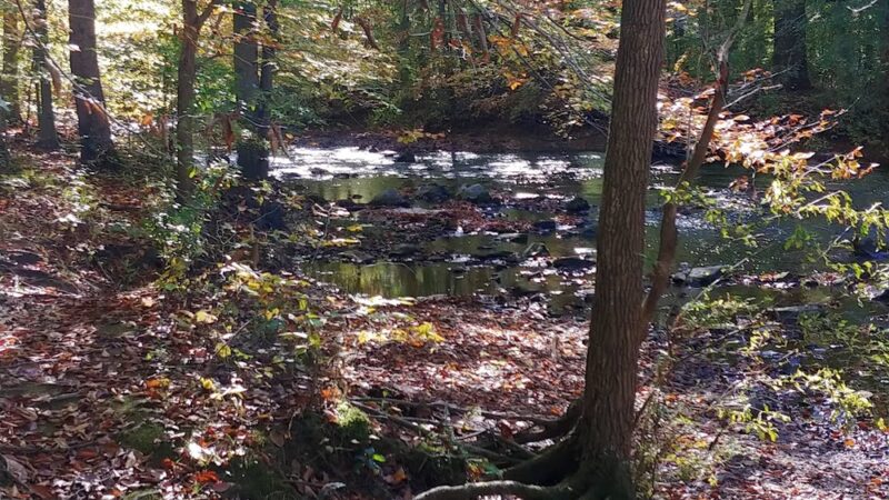 Ridley Creek State Park Entrance - Glen Mills, PA