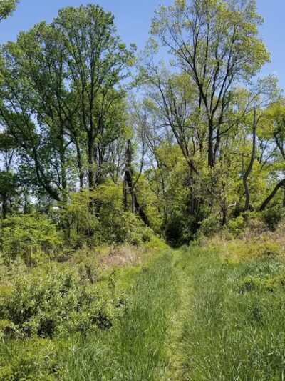 Ridley Creek State Park Entrance - Glen Mills, PA
