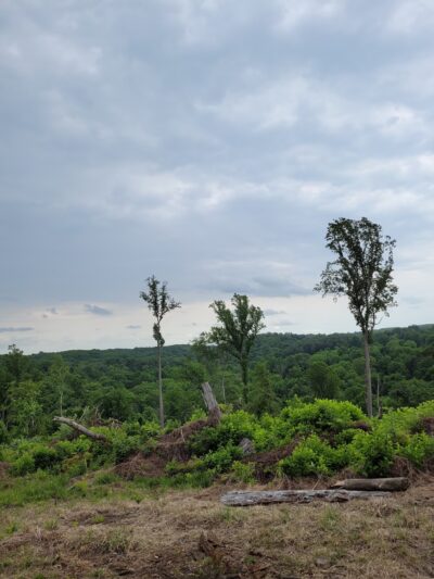 Ridley Creek State Park Entrance - Glen Mills, PA