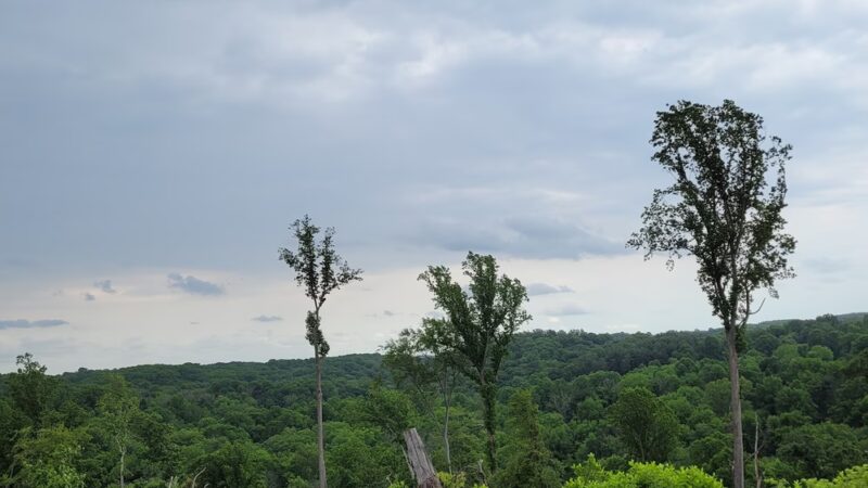 Ridley Creek State Park Entrance - Glen Mills, PA
