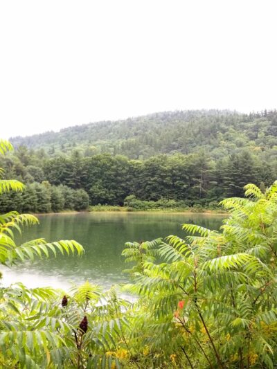 Thorne Pond Conservation Area - Glen, NH