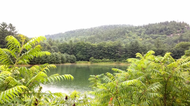 Thorne Pond Conservation Area - Glen, NH