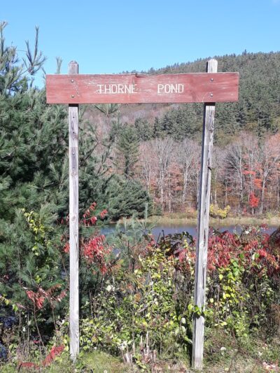 Thorne Pond Conservation Area - Glen, NH