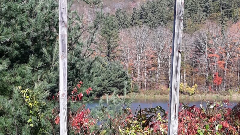 Thorne Pond Conservation Area - Glen, NH