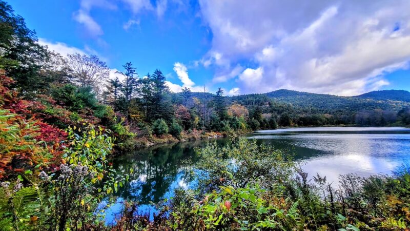 Thorne Pond Conservation Area - Glen, NH