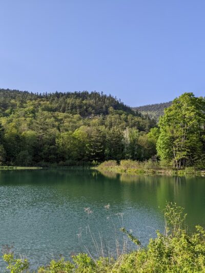 Thorne Pond Conservation Area - Glen, NH