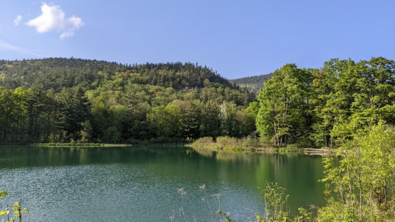 Thorne Pond Conservation Area - Glen, NH