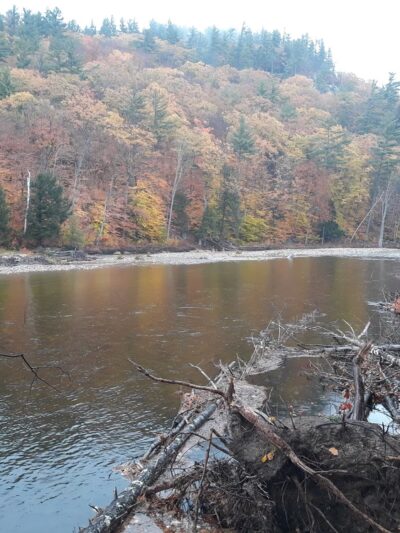 Thorne Pond Conservation Area - Glen, NH