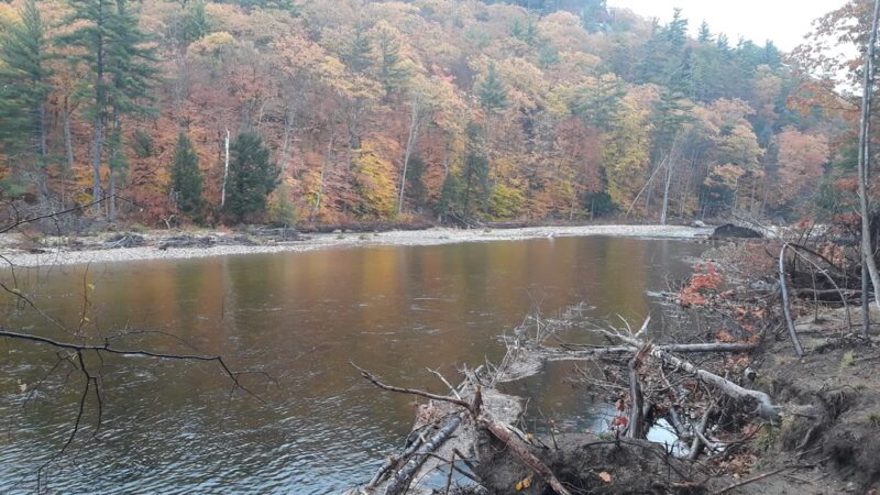 Thorne Pond Conservation Area - Glen, NH