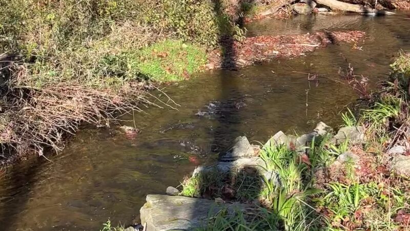Spring Valley County Park - Glen Rock, PA