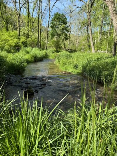 Spring Valley County Park - Glen Rock, PA