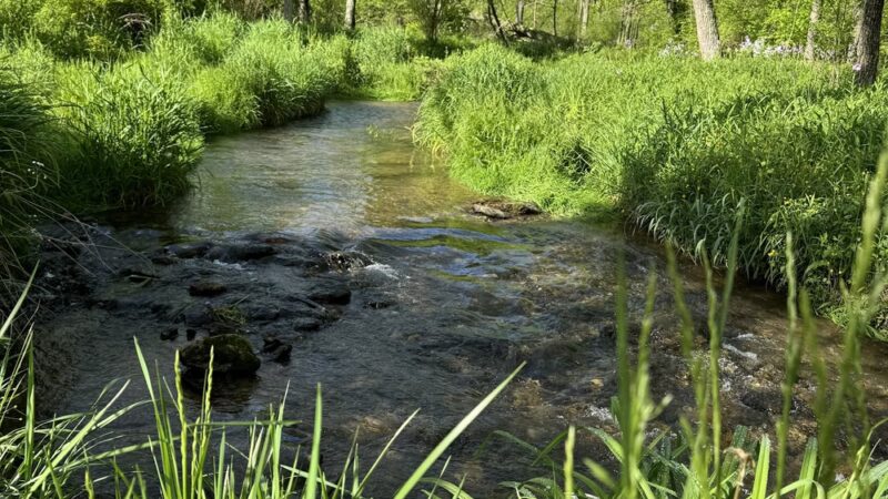 Spring Valley County Park - Glen Rock, PA