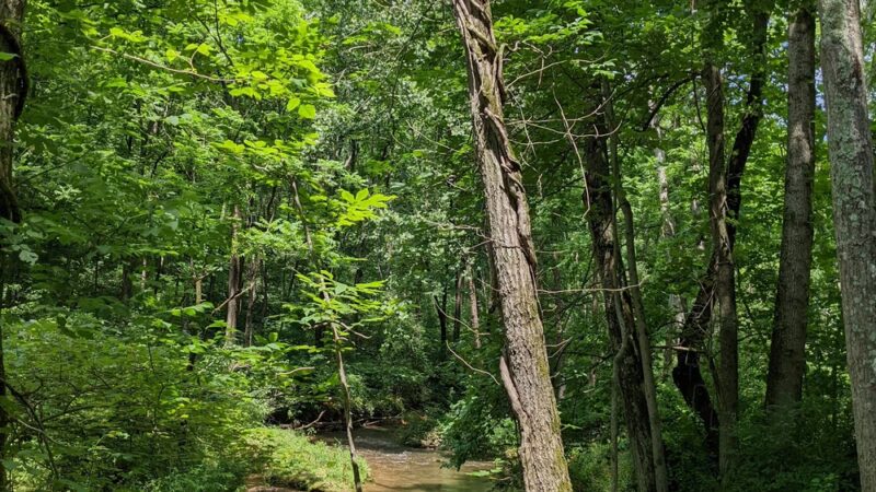 Spring Valley County Park - Glen Rock, PA
