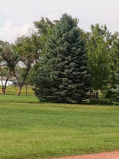 Glen Ullin Memorial Park and Campground - Glen Ullin, ND