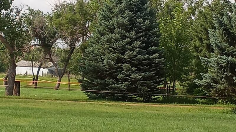 Glen Ullin Memorial Park and Campground - Glen Ullin, ND