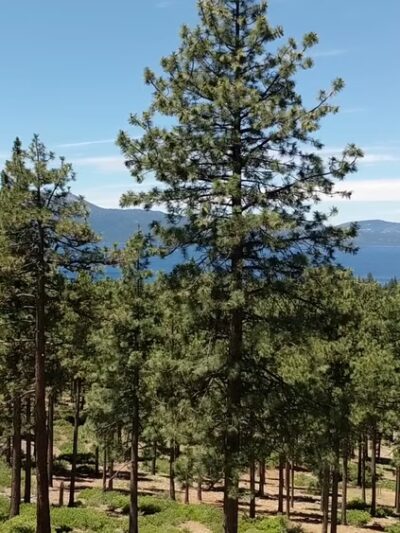 Zephyr Cove Park - Glenbrook, NV