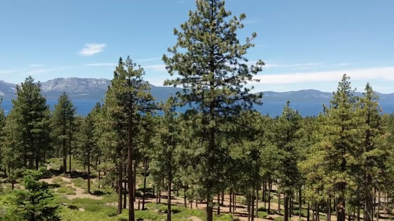 Zephyr Cove Park - Glenbrook, NV