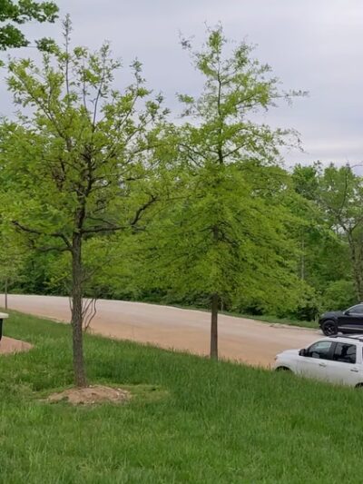 Bluff View Park - Glencoe, MO