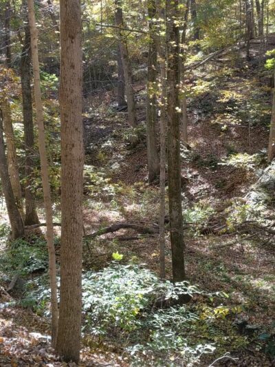 Bluffview Trail - Glencoe, MO