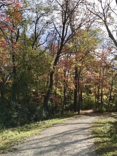 Bluffview Trail - Glencoe, MO
