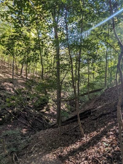 Bluffview Trail - Glencoe, MO