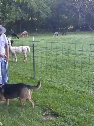 Glencoe City Park - Glencoe, MO