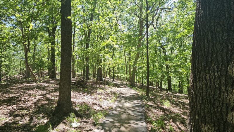Trail Among the Trees trailhead - Glencoe, MO