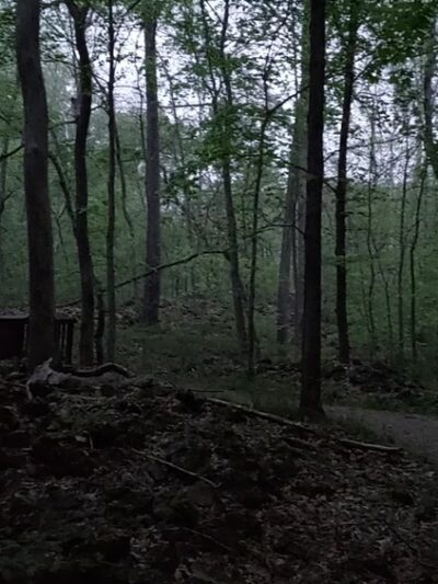 Trail Among the Trees trailhead - Glencoe, MO
