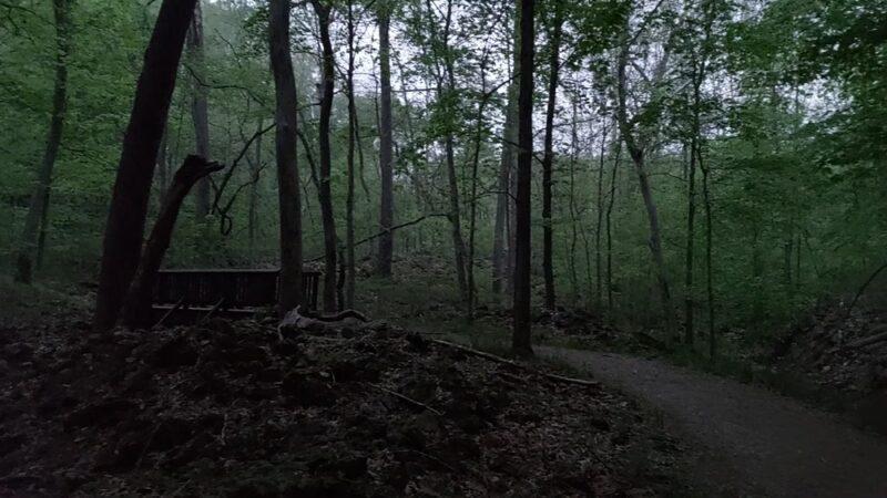 Trail Among the Trees trailhead - Glencoe, MO