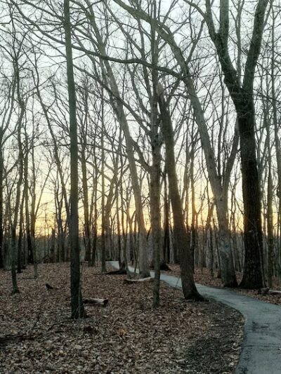 Trail Among the Trees trailhead - Glencoe, MO