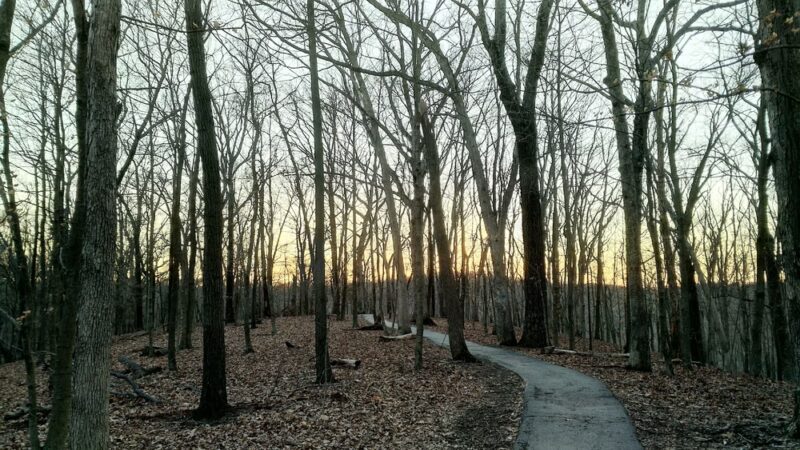 Trail Among the Trees trailhead - Glencoe, MO