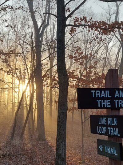 Trail Among the Trees trailhead - Glencoe, MO
