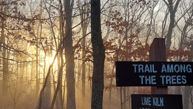 Trail Among the Trees trailhead - Glencoe, MO
