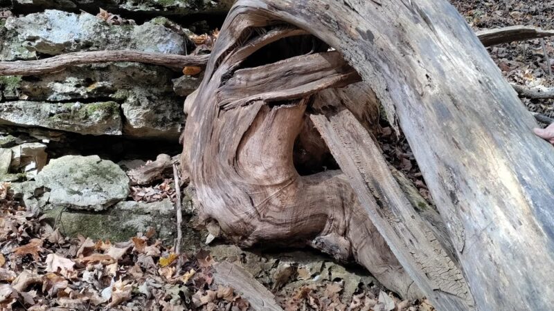Trail Among the Trees trailhead - Glencoe, MO
