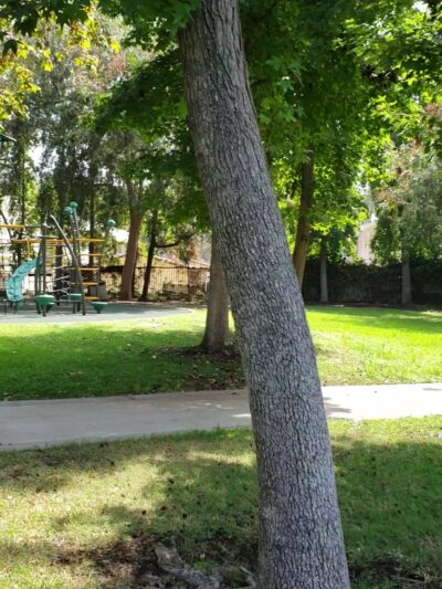 Carr Park - Glendale, CA