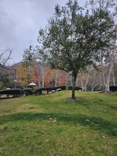 Mayor’s Bicentennial Park - Glendale, CA