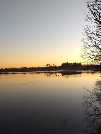 East Branch Forest Preserve - Glendale Heights, IL