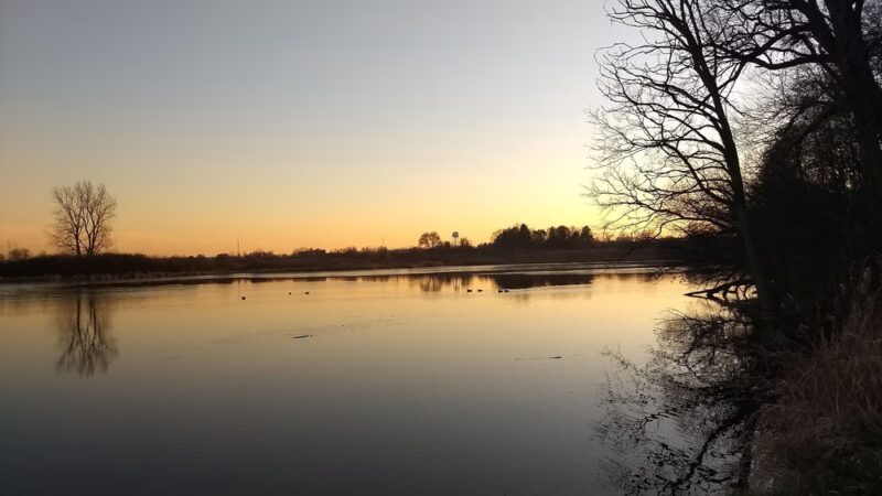 East Branch Forest Preserve - Glendale Heights, IL